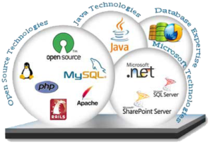 software development company in mumbai